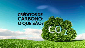 credito de carbono